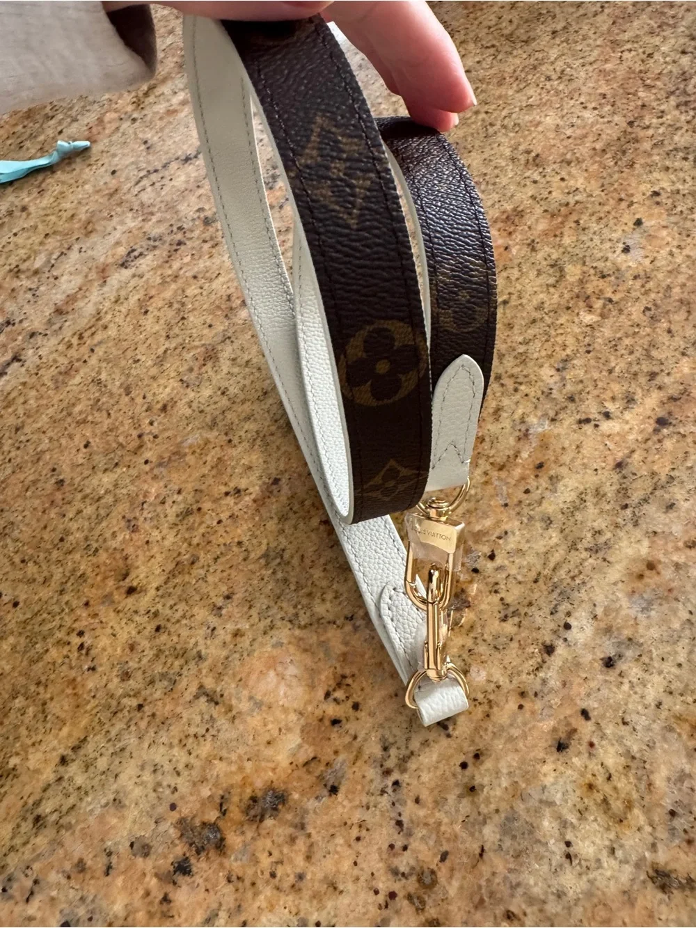 Louis Vuitton authentic lv